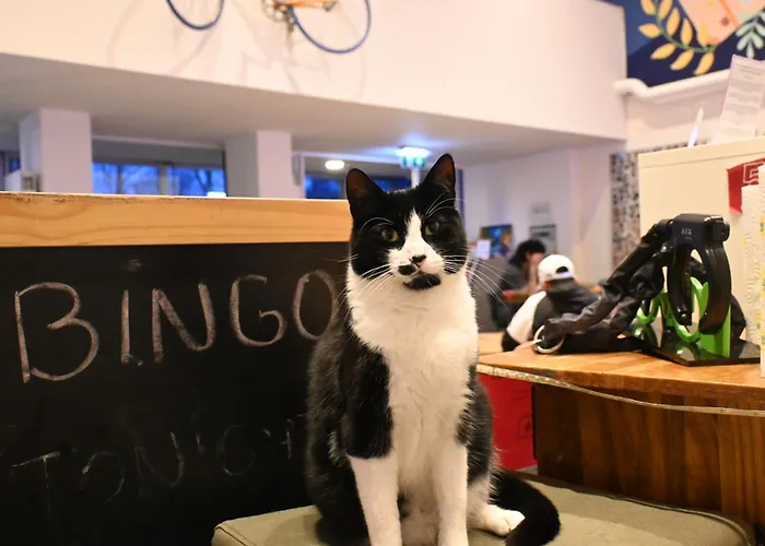 Dutchies Hostel Amsterdam